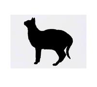 Azeeda 'Cat Silhouette' Temporary Tattoo - Water Resistant, Skin-Safe, Non-Toxic Transfer (TO00093147)