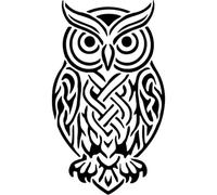 Azeeda 'Celtic Owl' Reusable Stencil - Durable Decorative Template for Painting and Spraying on Walls, Tiles, Wood, Fabric & Craft Projects - XL (A3) (WS00081071)