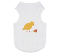 Azeeda 'Chick And A Snail' Pet Dog/Cat T-Shirt, M (PT00134046)