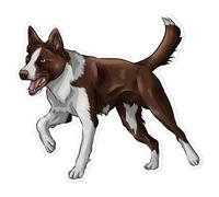 Azeeda 'Chocolate Border Collie' Sticker - White, 21cm (DW00072607)