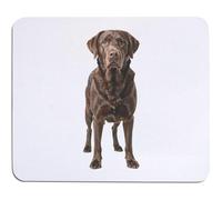Azeeda 'Chocolate Labrador Retriever' Mouse Mat/Desk Pad (MO00044022)