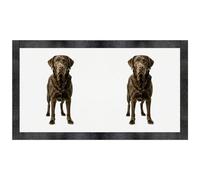 Azeeda 'Chocolate Labrador Retriever' Pet Feeding Mat (PM00035948)