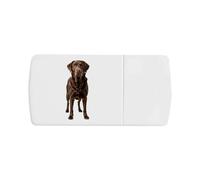 Azeeda 'Chocolate Labrador Retriever' Pill Box with Tablet Splitter (PI00041062)