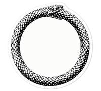 Azeeda 'Circle Snake' Clear Premium Vinyl Decal Stickers - Waterproof, Durable & Easy to Apply - for Car Bumpers, Windows, Bins & More - Medium (100mm) (DC00169522)
