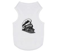 Azeeda 'Classic Steam Train' Pet Dog/Cat T-Shirt, S (PT00164229)