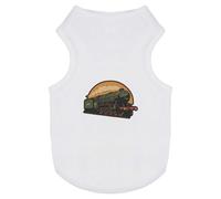 Azeeda 'Classic Steam Train' Pet Dog/Cat T-Shirt, XS (PT00163980)