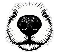 Azeeda 'Close-Up of A Dog's Nose' Clear Premium Vinyl Decal Stickers - Waterproof, Durable & Easy to Apply - for Car Bumpers, Windows, Bins & More - XXL (720mm) (DC00163131)