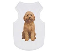 Azeeda 'Cockapoo Dog' Pet Dog/Cat T-Shirt, XS (PT00164284)