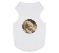 Azeeda 'Cockapoo with Roses' Pet Dog/Cat T-Shirt, S (PT00187141)
