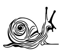 Azeeda 'Curious Snail Doodle' Reusable Stencil - Durable Decorative Template for Painting and Spraying on Walls, Tiles, Wood, Fabric & Craft Projects - XL (A3) (WS00080141)