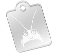 Azeeda 'Cute Cockroach' Laser-Engraved Clear Acrylic Keyring/Keychain/Key Fob/Bag Tag (AK00088322)