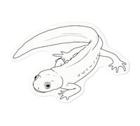 Azeeda 'Cute Newt' Clear Premium Vinyl Decal Stickers - Waterproof, Durable & Easy to Apply - for Car Bumpers, Windows, Bins & More - Medium (100mm) (DC00116725)