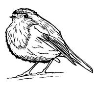 Azeeda 'Cute Robin Bird' Unmounted Rubber Stamp - A7 (RS00008666)
