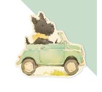 Azeeda 'Cute Scottish Terrier Driving' Premium Vinyl Decal Sticker - Waterproof, Durable & Easy to Apply - Ideal for Cars, Windows, Bins and More - 720mm (XXL) (DW00169918)