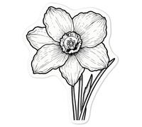 Azeeda 'Daffodil Flower' White Premium Vinyl Decal Sticker - Waterproof, Durable & Easy to Apply - Ideal for Car Bumpers, Windows, Bins and More - Medium (100mm) (DW00117049)