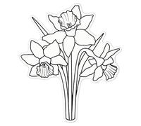 Azeeda 'Daffodils' White Premium Vinyl Decal Sticker - Waterproof, Durable & Easy to Apply - for Car Bumpers, Windows, Bins & More - Large (210mm) (DW00047787)