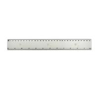 Azeeda 'Dandelion Wishes' 30cm (12 Inch) White Plastic Ruler (RL00113160)