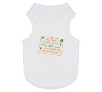 Azeeda 'Dear Santa, Granny Said I Could' Pet Dog/Cat T-Shirt, XS (PT00143592)