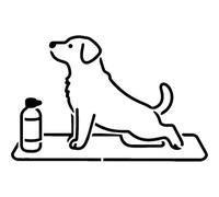 Azeeda 'Dog Doing Yoga' Reusable Stencil - Durable Decorative Template for Painting and Spraying on Walls, Tiles, Wood, Fabric & Craft Projects - XXL (A2) (WS00083768)