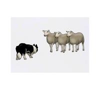 Azeeda 'Dog Herding Sheep' Temporary Tattoo - A6 (TO00050494)