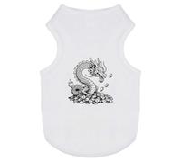 Azeeda 'Dragon Hoarding Coins' Pet Dog/Cat T-Shirt, S (PT00177705)