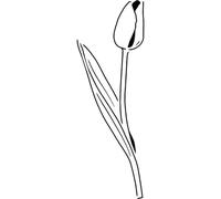 Azeeda 'Elegant Tulip Bloom' Reusable Stencil - Durable Decorative Template for Painting and Spraying on Walls, Tiles, Wood, Fabric & Craft Projects - XXL (A2) (WS00079984)