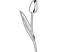 Azeeda 'Elegant Tulip Bloom' Reusable Stencil - Durable Decorative Template for Painting and Spraying on Walls, Tiles, Wood, Fabric & Craft Projects - M (A5) (WS00061312)