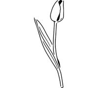 Azeeda 'Elegant Tulip Bloom' Reusable Stencil - Durable Decorative Template for Painting and Spraying on Walls, Tiles, Wood, Fabric & Craft Projects - S (A6) (WS00070529)