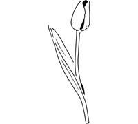 Azeeda 'Elegant Tulip Bloom' Reusable Stencil - Durable Decorative Template for Painting and Spraying on Walls, Tiles, Wood, Fabric & Craft Projects - L (A4) (WS00061311)