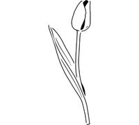 Azeeda 'Elegant Tulip Bloom' Reusable Stencil - Durable Decorative Template for Painting and Spraying on Walls, Tiles, Wood, Fabric & Craft Projects - XL (A3) (WS00079985)