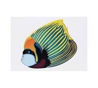 Azeeda 'Emperor Angel Fish' Temporary Tattoo - A6 (TO00098017)