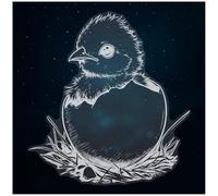 Azeeda Extra Large 720mm 'Baby Chick Coming Out of Egg' Clear Static Window Cling Sticker/Decal (White) (WC00158278)