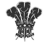 Azeeda Extra Large 720mm 'Prince of Wales Feathers' Clear Static Window Cling Sticker/Decal (Black) (WC00141577)