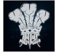 Azeeda Extra Large 720mm 'Prince of Wales Feathers' Clear Static Window Cling Sticker/Decal (White) (WC00141578)