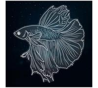Azeeda Extra Large 720mm 'Siamese Fighting Fish' Clear Static Window Cling Sticker/Decal (White) (WC00151802)