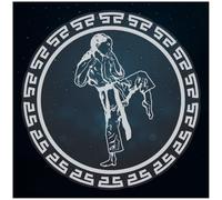 Azeeda Extra Large 720mm 'The Martial Artist' Clear Static Window Cling Sticker/Decal (White) (WC00154180)