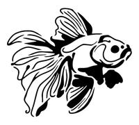 Azeeda 'Fish Doodle' Reusable Stencil - Durable Decorative Template for Painting and Spraying on Walls, Tiles, Wood, Fabric & Craft Projects - XL (A3) (WS00080083)