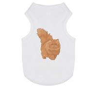 Azeeda 'Fluffy Persian Cat' Pet Dog/Cat T-Shirt, M (PT00177398)