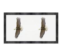 Azeeda 'Flying Bald Eagle' Pet Feeding Mat (PM00029568)