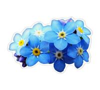 Azeeda 'Forget-Me-Nots' White Premium Vinyl Decal Sticker - Waterproof, Durable & Easy to Apply - Ideal for Car Bumpers, Windows, Bins and More - XL (460mm) (DW00037364)