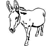 Azeeda 'Friendly Donkey' Reusable Stencil - Durable Decorative Template for Painting and Spraying on Walls, Tiles, Wood, Fabric & Craft Projects - M (A5) (WS00022104)