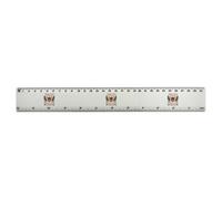 Azeeda 'From Tiny Acorns Mighty Oaks Grow' 30cm (12 Inch) White Plastic Ruler (RL00101900)