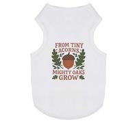 Azeeda 'From Tiny Acorns Mighty Oaks Grow' Pet Dog/Cat T-Shirt, M (PT00167018)