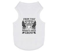 Azeeda 'From Tiny Acorns Mighty Oaks Grow' Pet Dog/Cat T-Shirt, S (PT00167013)