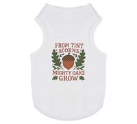 Azeeda 'From Tiny Acorns Mighty Oaks Grow' Pet Dog/Cat T-Shirt, S (PT00167017)