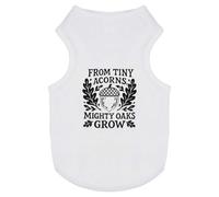 Azeeda 'From Tiny Acorns Mighty Oaks Grow' Pet Dog/Cat T-Shirt, XS (PT00167012)