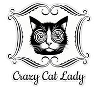 Azeeda 'Funny Crazy Cat Lady' Clear Premium Vinyl Decal Stickers - Waterproof, Durable & Easy to Apply - for Car Bumpers, Windows, Bins & More - XXL (720mm) (DC00173844)