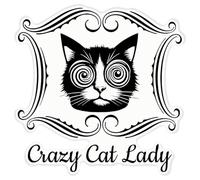 Azeeda 'Funny Crazy Cat Lady' White Premium Vinyl Decal Sticker - Waterproof, Durable & Easy to Apply - for Car Bumpers, Windows, Bins & More - XL (460mm) (DW00202432)