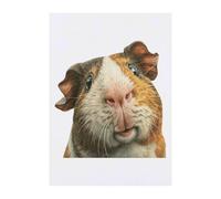 Azeeda 'Funny Guinea Pig' Temporary Tattoo - A6 (TO00102621)