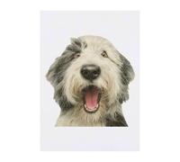 Azeeda 'Funny Old English Sheepdog' Temporary Tattoo - Water Resistant, Skin-Safe, Non-Toxic Transfer (TO00102665)